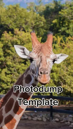 Photodump Template 