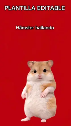 Hámster bailando