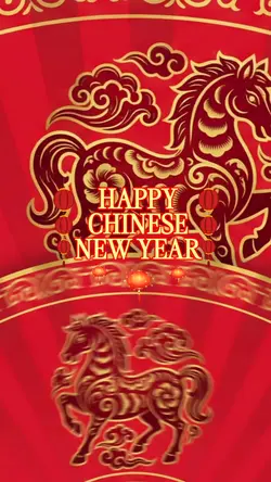 happy chinesee 