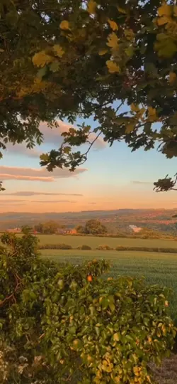 Summer Trailer