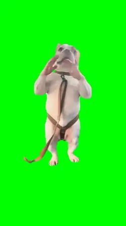 Imma Bite You