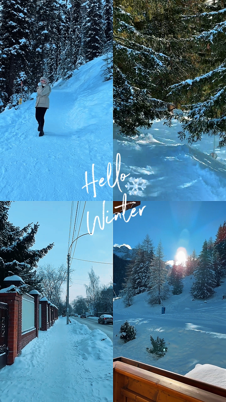 Winterliches Intro Pippit
