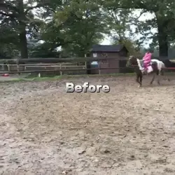 Before vs after 