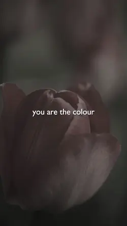 she was the colour :