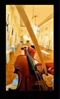 violon 