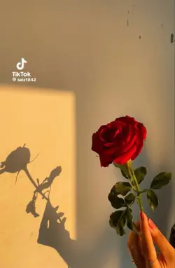 ကမ္ဘာအဆက်ဆက်