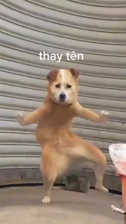Meme troll bạn thân