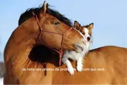 Photo de profil