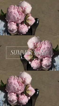 Summer so far.