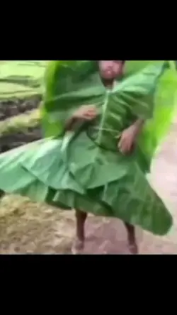 flop Tok meme