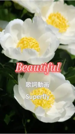 Beautiful
