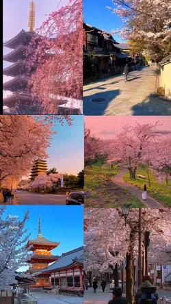 video aesthetic