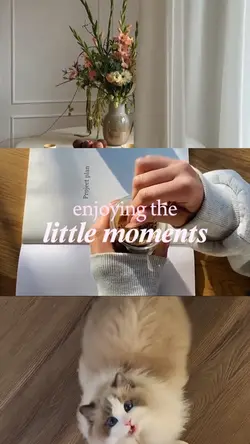 Little Moments