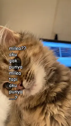 milea?aku gak punya