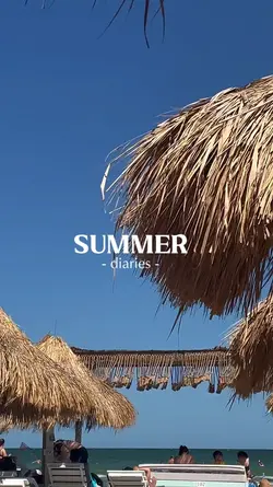 Summer Diaries 