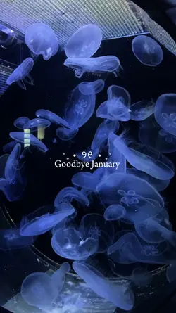goodbye January