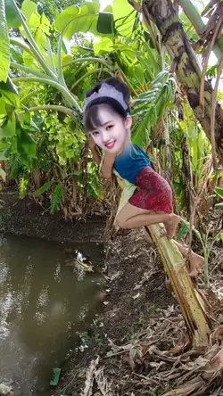 chèo lên cây chuối