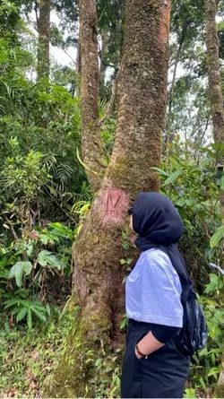 Butiran debu