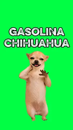 GASOLINA CHIHUAHUA
