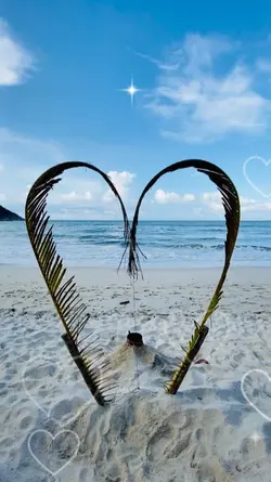 Stolen Heart
