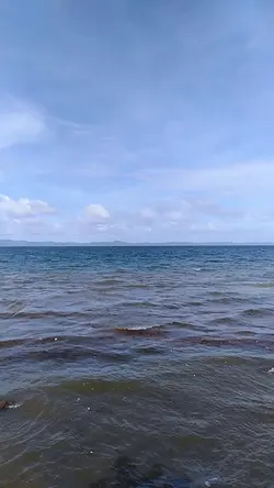 Diskarte sa buhay