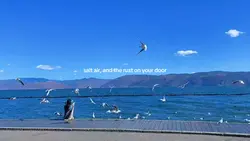 salt air, and the ru