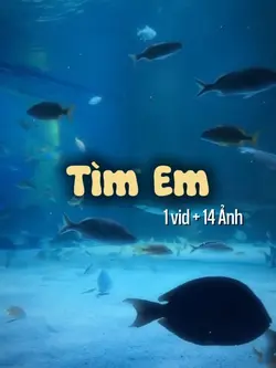 Đi khắp thiên hà
