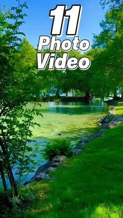 11 clip or photo 