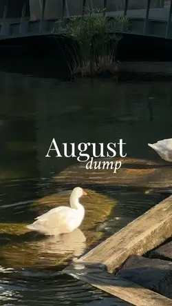 august dump 2026
