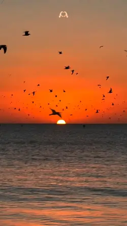 Slowmotion 