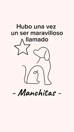 Perrito en el cielo🙏