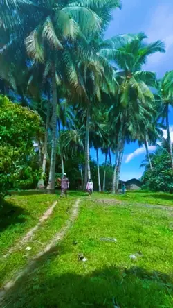bundok trip