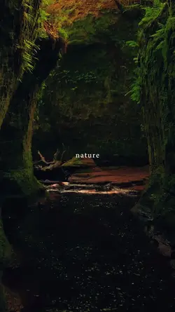 nature