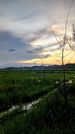 Motivasi
