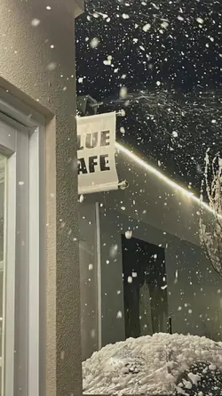 Snow flower 