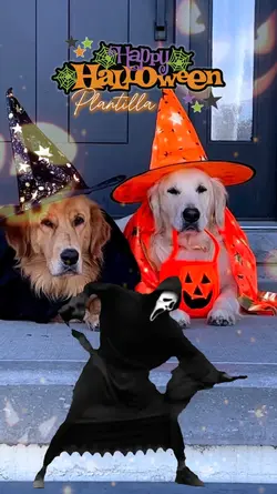 Happy Halloween