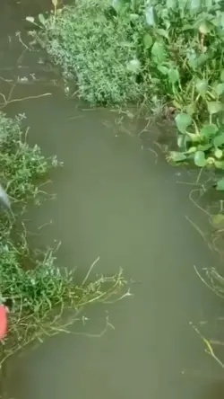 Fishing time