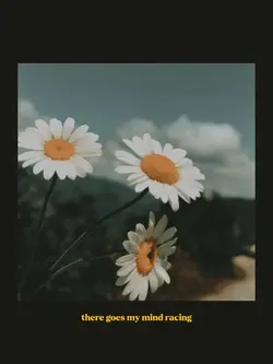 you are the reason