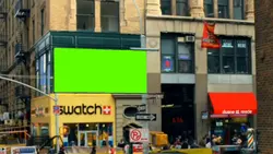 new york green scree