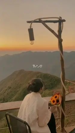 1 video