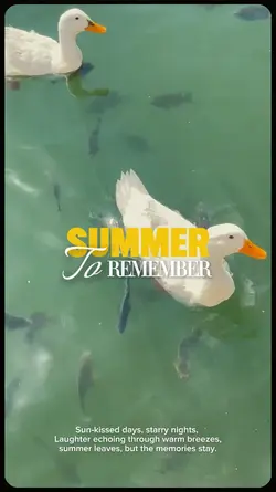 Summer Recap