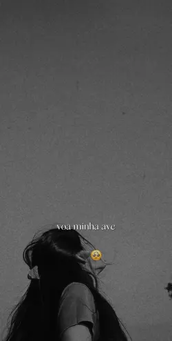 voa minha ave