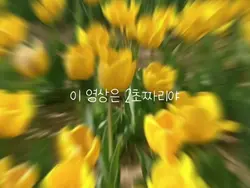 이 영상은 2초짜리야