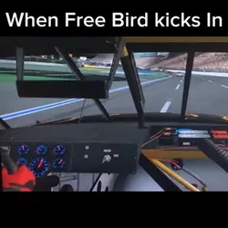 Free bird kicks in