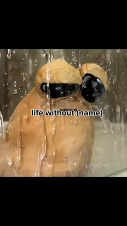 life w out..