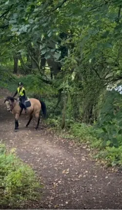 Horse rearing