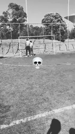Freeze Phonk 💀