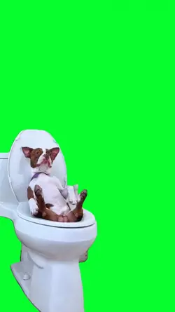 chilling in toilet