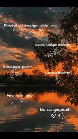 viral şablon 