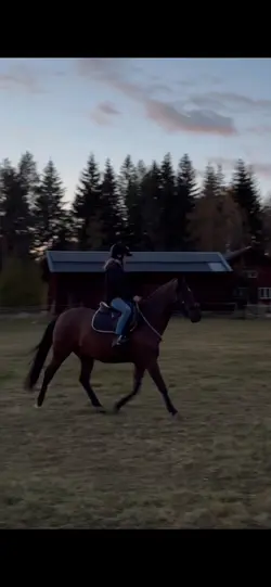 Kalle xx
